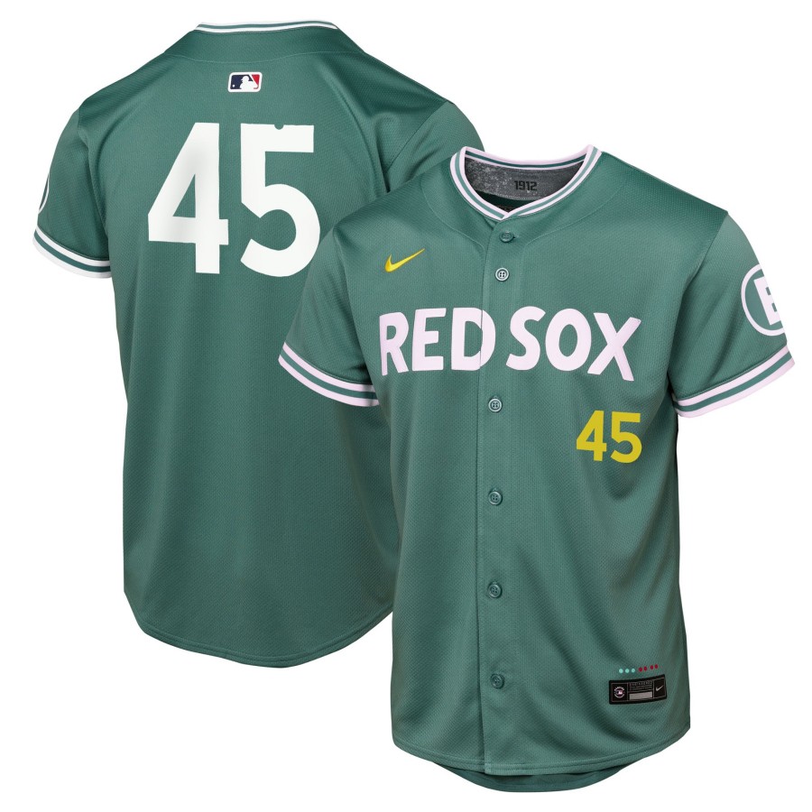 Youth Boston Red Sox #45 Pedro Martinez Nike 2025 City Connect Limited Retired Player Jersey - Green